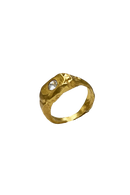 gael starry