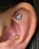 ramiro starry piercing